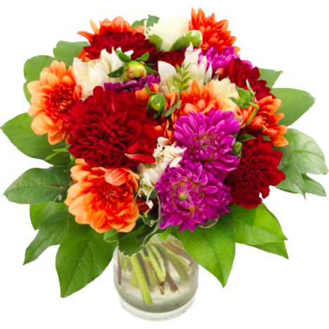 Bouquet Dahlias